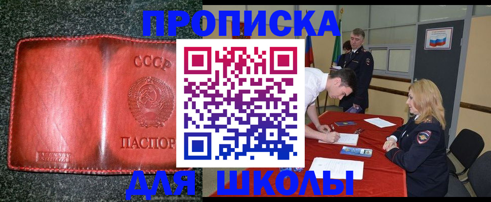 прописка в квартире в Новодвинске